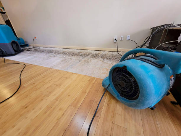 Professional Water Extraction technician working in Pocasset, MA